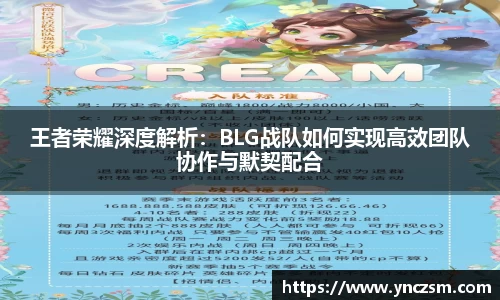 王者荣耀深度解析：BLG战队如何实现高效团队协作与默契配合
